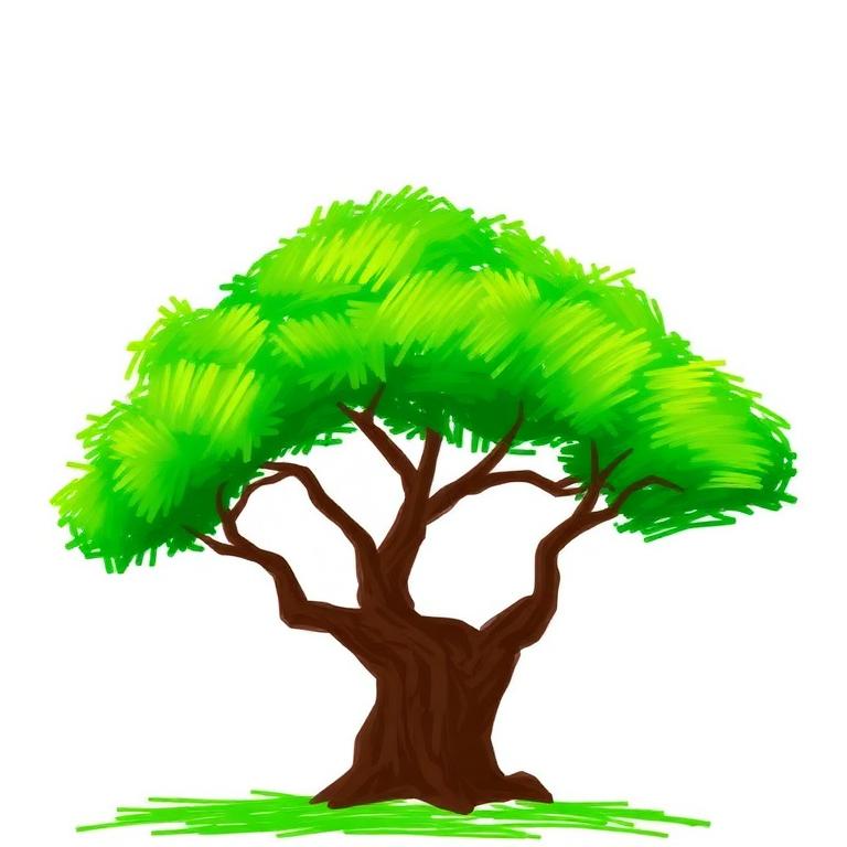 fan art of a Regular Tree